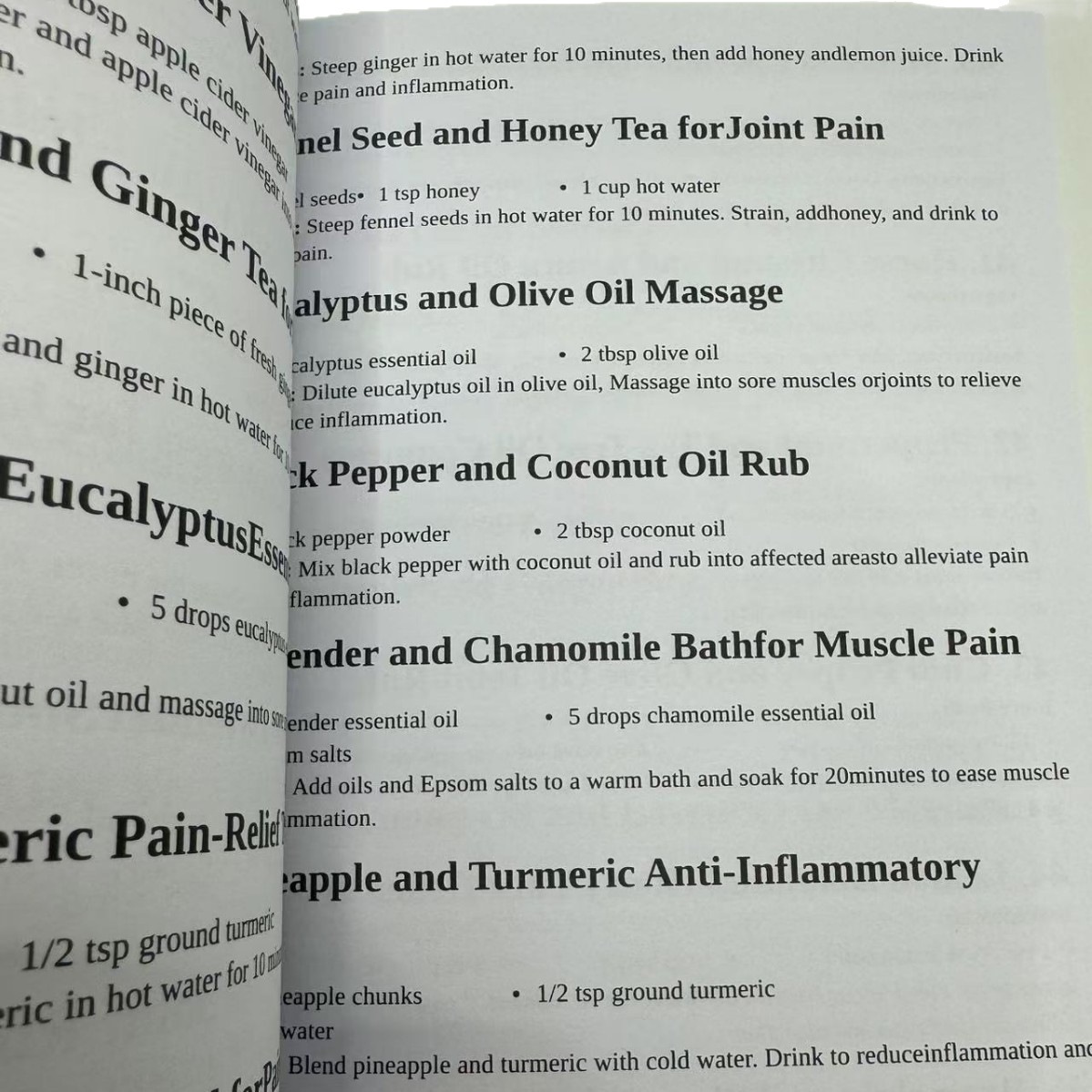 1000 FORGOTTEN REMEDIES The Ho - Herbal Wellness Remedy review and price