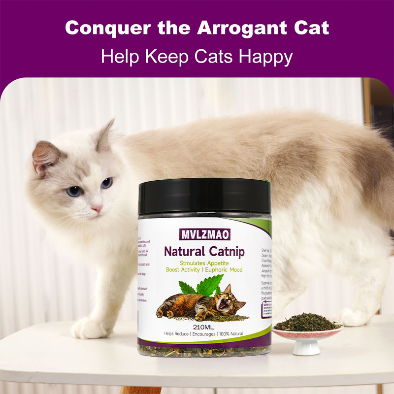 Cat Toys - Silvervine Catnip f - Nettle Leaf Tea review and price
