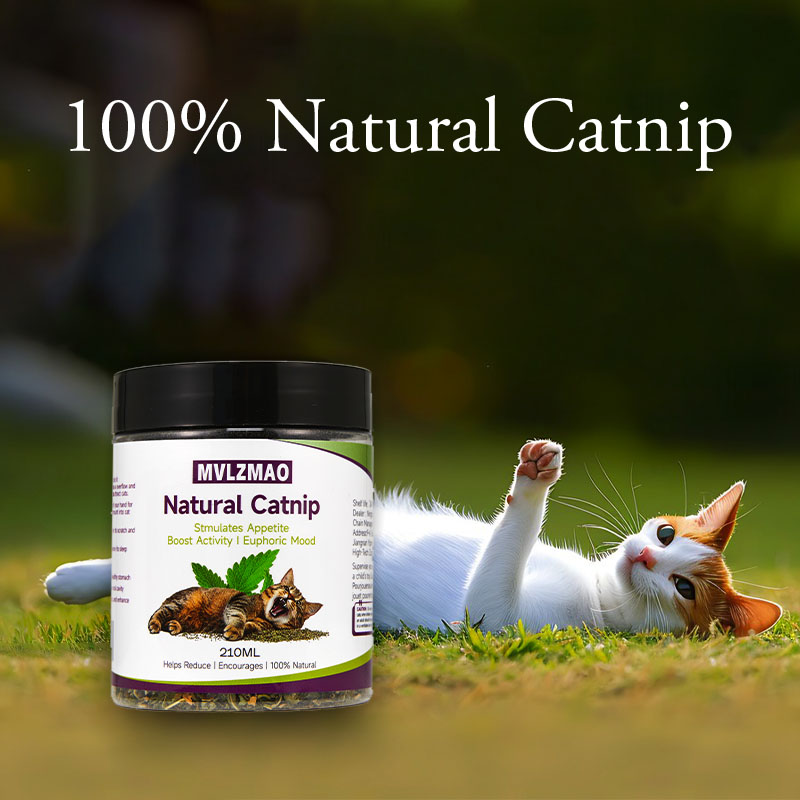 Cat Toys - Silvervine Catnip f - Nettle Leaf Tea review and price
