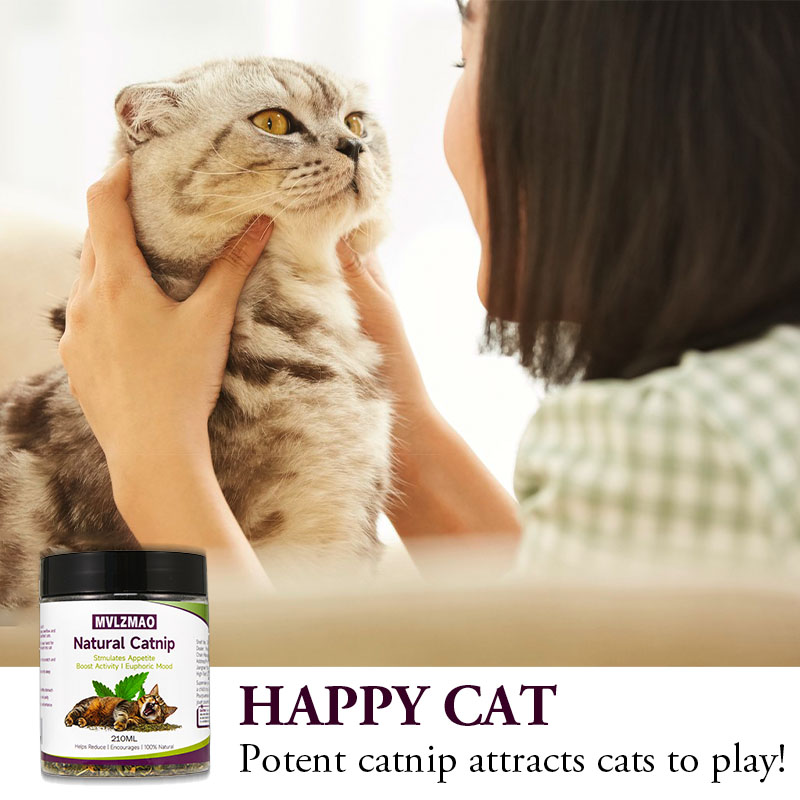 Cat Toys - Silvervine Catnip f - Nettle Leaf Tea review and price